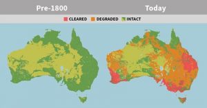 Deforestation And Cleared Land Map Since 1800 Australia has destroyed or utterly degraded its native forests and woodlands and now what remains is in danger of export for global furnaces