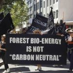 Forest Bio-Energy is Not Carbon Neutral