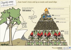 Infographic Wood Waste Crikey Articlefullwidth