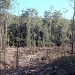 Milligans Rd Broken Bago May 2016