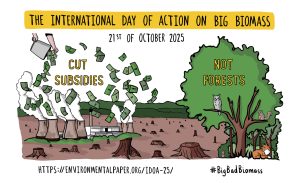 The International Day Of Action On Big Biomass Banner